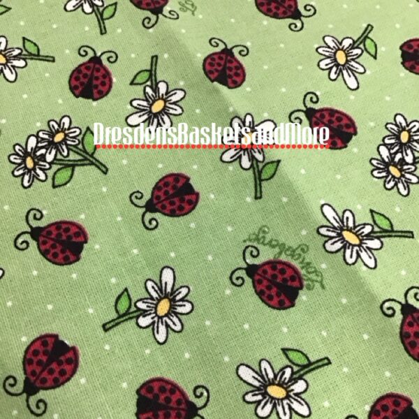 7" Keeping Lady Bug Liner