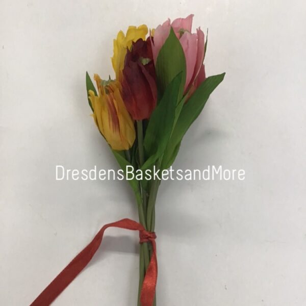Miniature Tulip Flowers