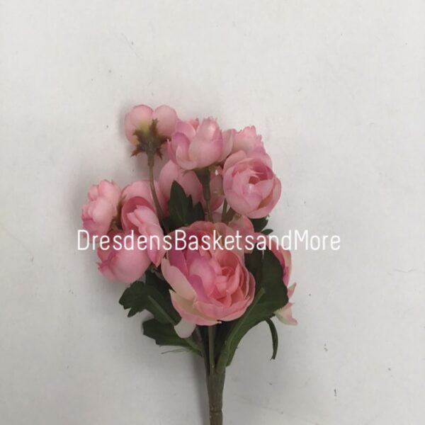 Miniature Peony Flowers